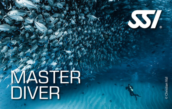 SSI  Master Diver