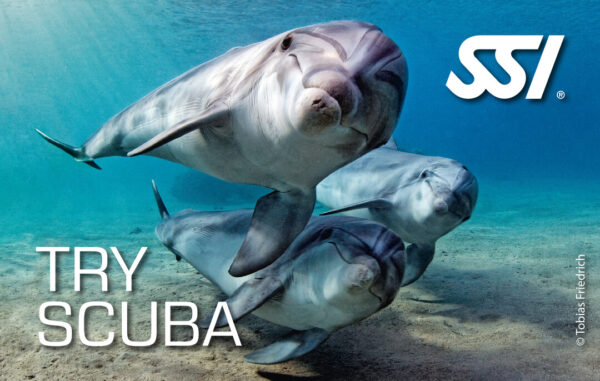 SSI Try Scuba Pool
